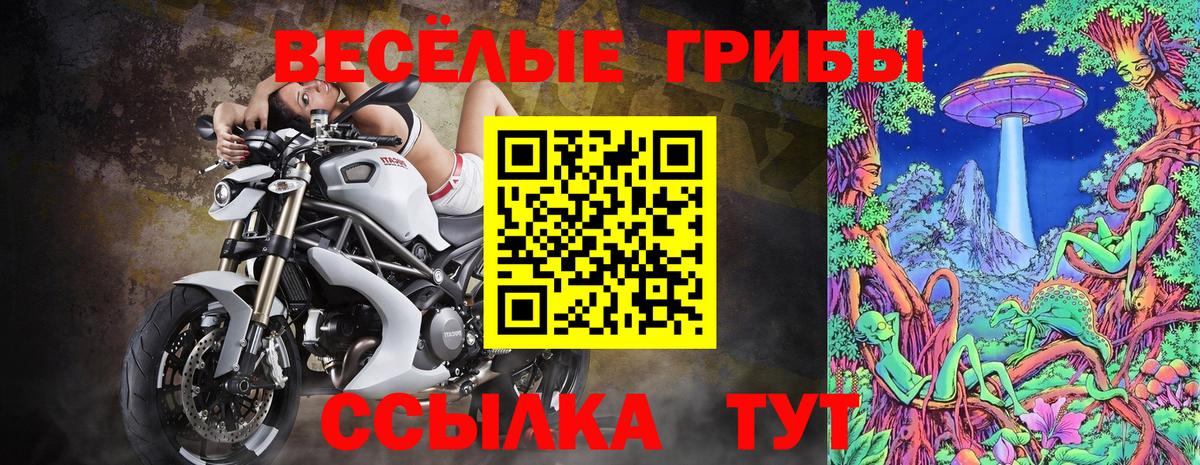 Псилоцибиновые грибы прущие грибы  Псилоцибиновые грибы MAGIC MUSHROOMS  цены   Вход с VPN  Тверь 