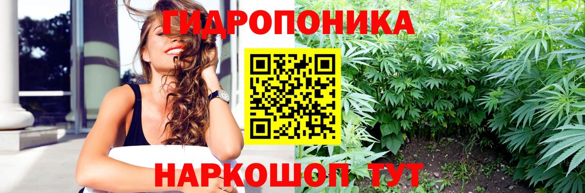 МАРИХУАНА конопля Тверь